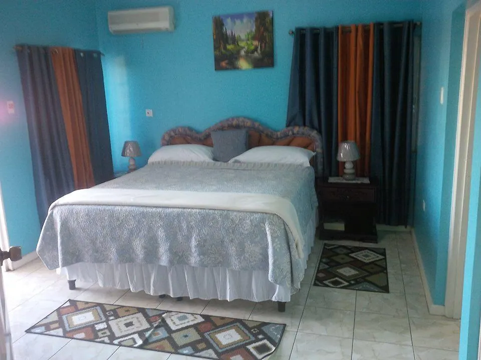 Pinnacle View Estate Micaila Villa مونتيغو باي