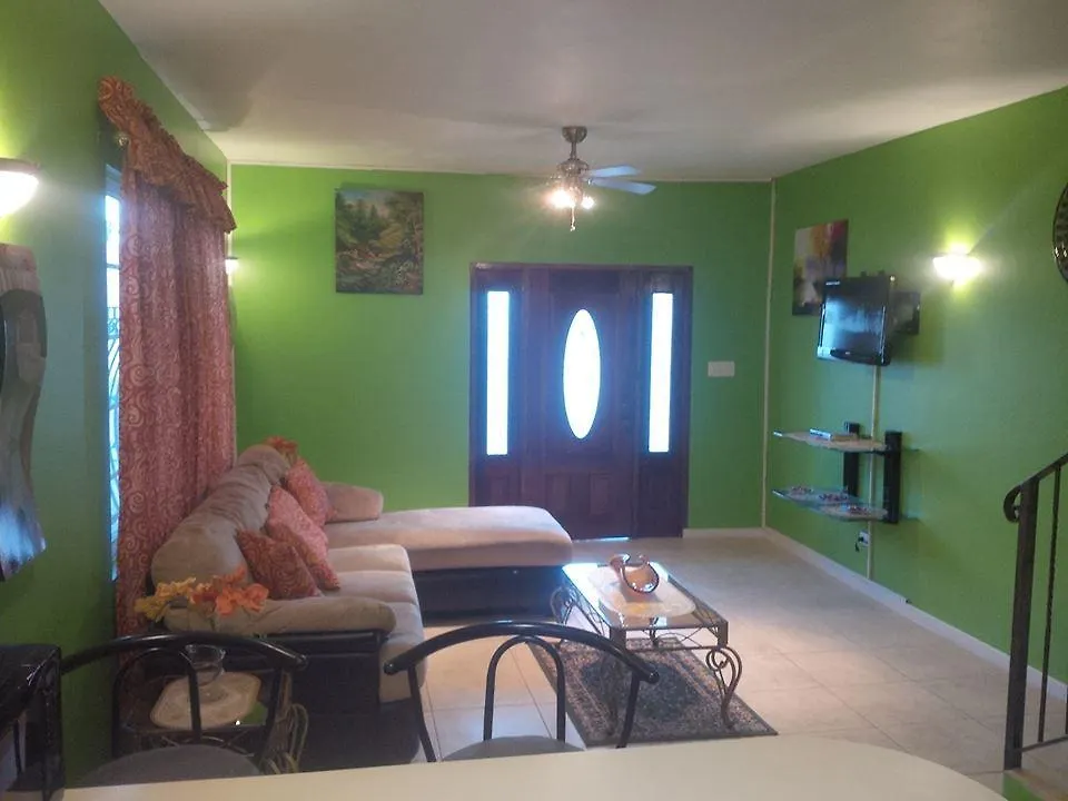 Pinnacle View Estate Micaila Villa مونتيغو باي