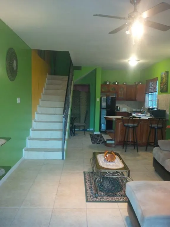 Pinnacle View Estate Micaila Villa مونتيغو باي جامايكا